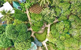 Homestay De la Rosa - Côn Đảo